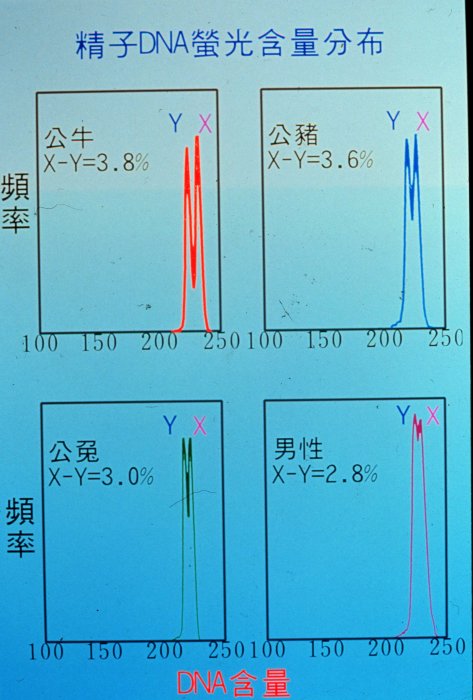 cgcp34.jpg (58430 Ӧ줸)
