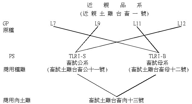 p132.jpg (31719 Ӧ줸)