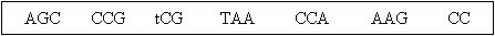 p90.gif (2363 Ӧ줸)