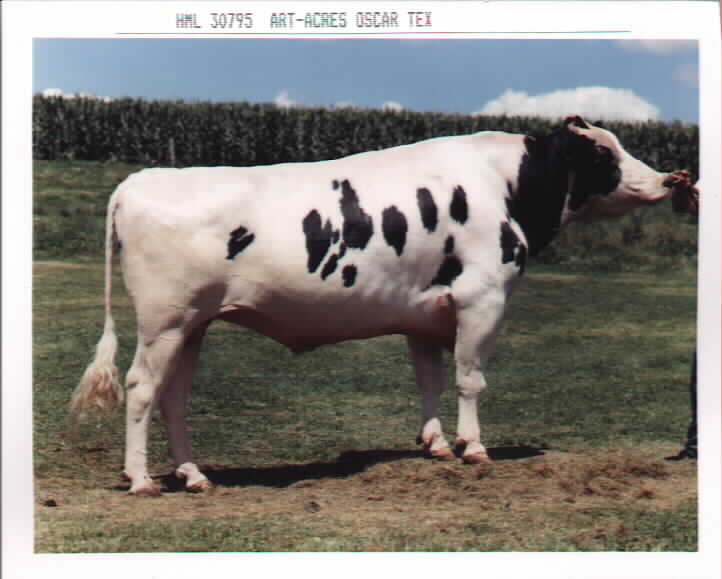 151H319