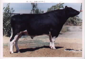 44H152