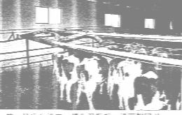 Image237.gif (24780 Ӧ줸)