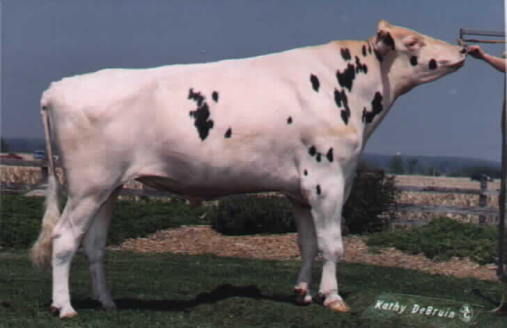 151H279