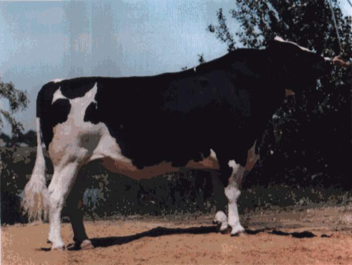 204H1001