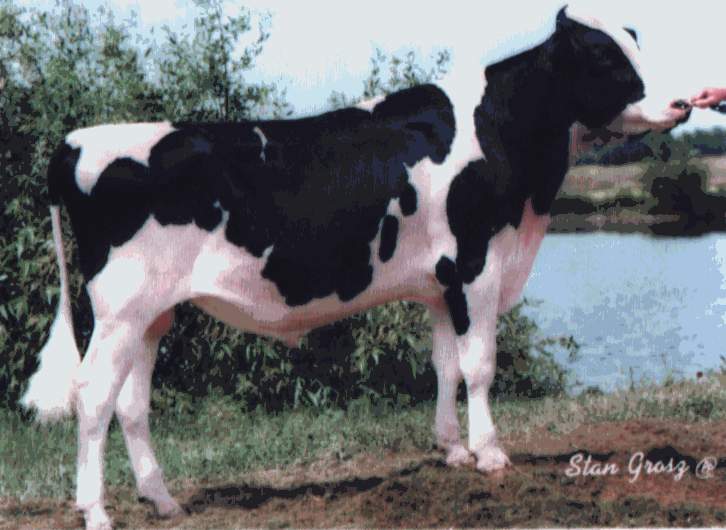 204H8571