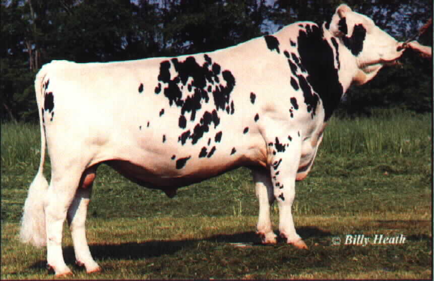 76H149