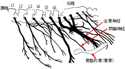 dfar137p8-3.jpg#s-401,220