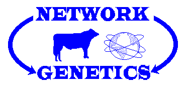 NETWORKǰ]u{qӼ