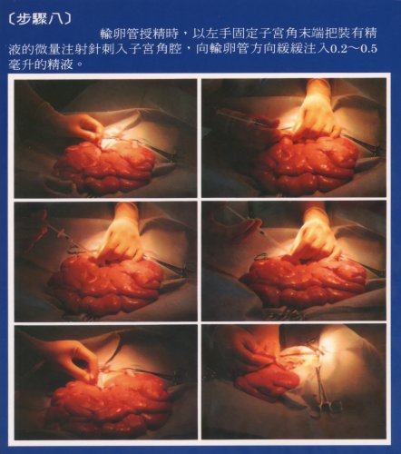 pig28.jpg (42227 Ӧ줸)