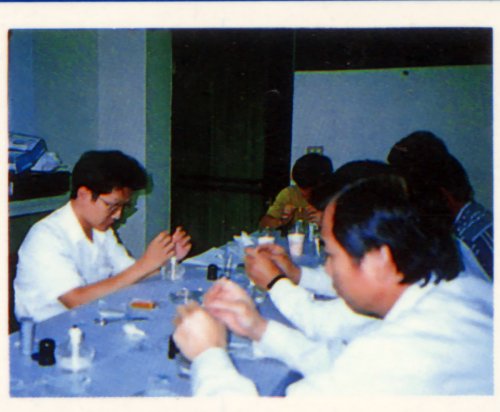 pig42.jpg (34236 Ӧ줸)