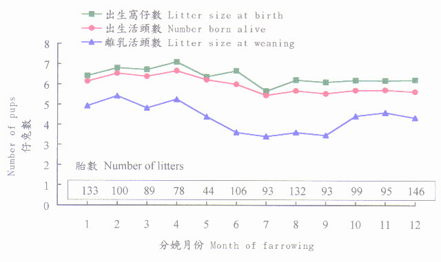 nwrf1.jpg (40255 Ӧ줸)